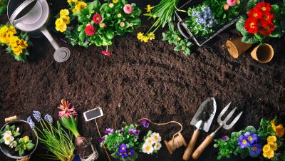 15 x gardening tips for April