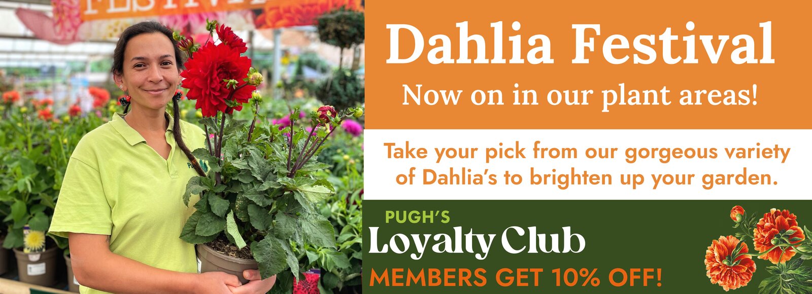 Pugh's Garden Centre near Newport, St Mellons, Caerphilly