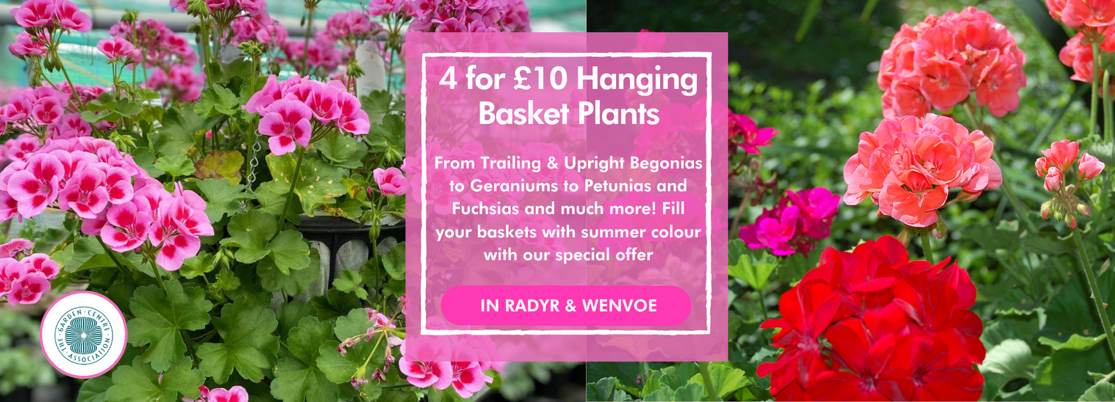 Pugh's Garden Centre near Newport, St Mellons, Caerphilly