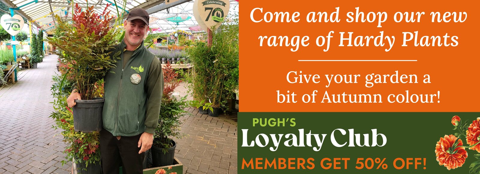 pugh-s-garden-centre-near-morganstown-newport-st-mellons-caerphilly
