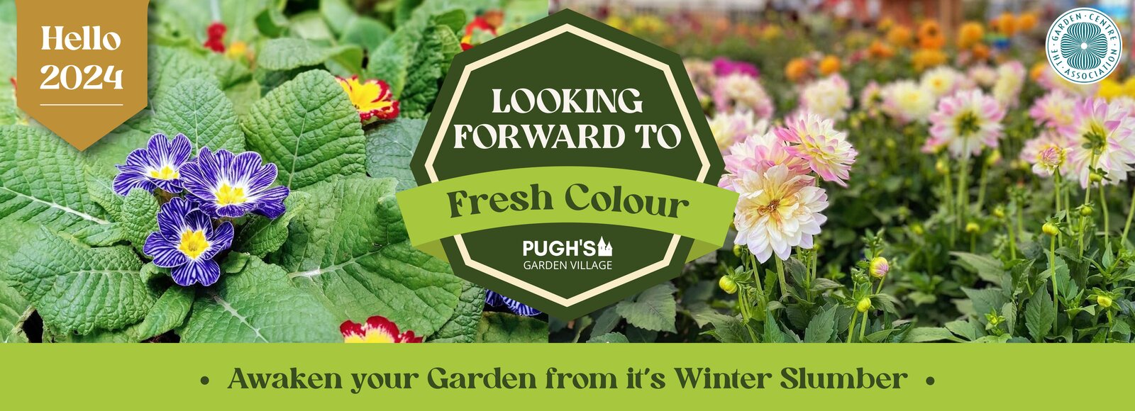 pugh-s-garden-centre-near-morganstown-newport-st-mellons-caerphilly