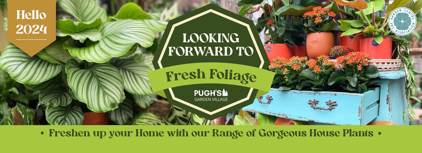 pugh-s-garden-centre-near-morganstown-newport-st-mellons-caerphilly