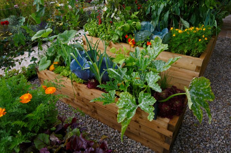 10 ways to get started in organic gardening - Pugh's Garden Centres