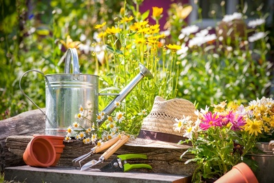 15 garden tips for July