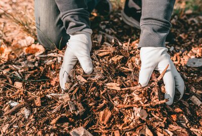 Dig less, mulch more!