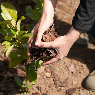 Dig less, mulch more!