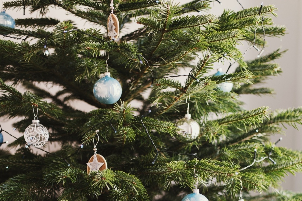 How to keep your Christmas tree fresh for longer Pugh's Garden Centres