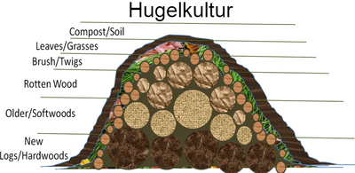 Hugelkultur: Gardening with Nature’s Wisdom