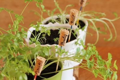 Plant markers for the kitchen garden