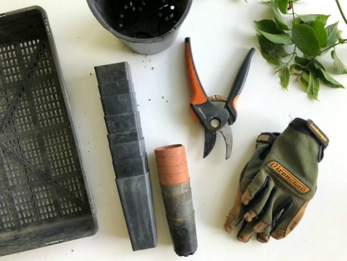 Top 5 Ideas For Fathers Day Gifts, Gift Ideas For Dads Who Like To Garden