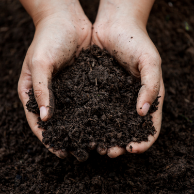 Working with nature to improve your soil - and help your plants!