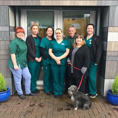 Bridges Veterinary Surgery - Radyr