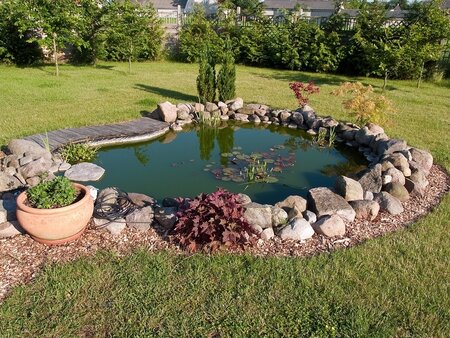 Ponds & Water Features