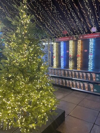 Christmas at Pugh's - Lights