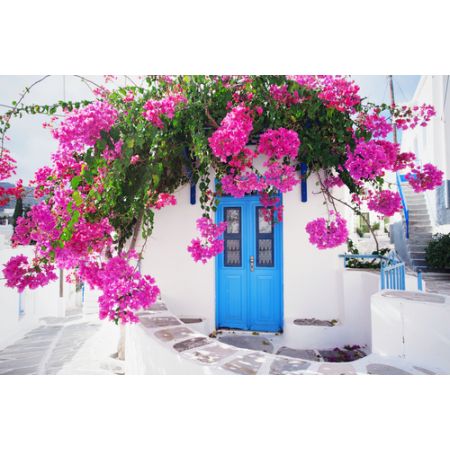 Corex Garden Backdrop - Greek Paradise 