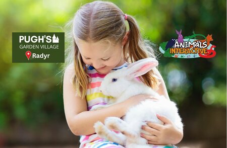 Easter Bunny & Friends, Animal's Interactive Workshops (Radyr)