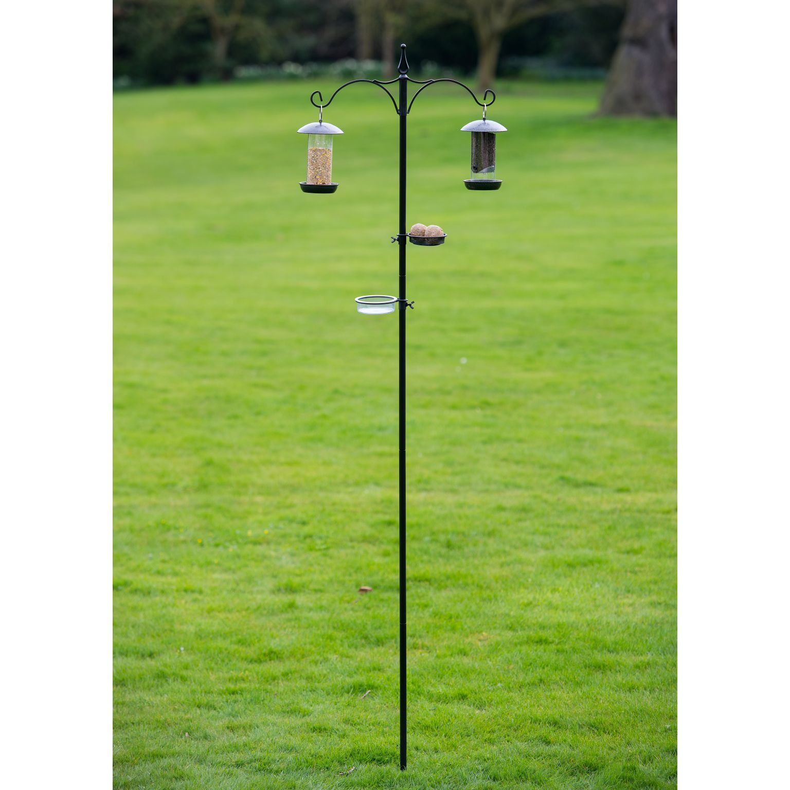 Tom Chambers Everyday Bird Station Pugh's Garden Centres