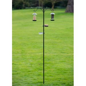 Tom Chambers Everyday Bird Station - image 2
