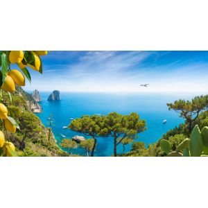 Corex Garden Backdrop - Amalfi Coast