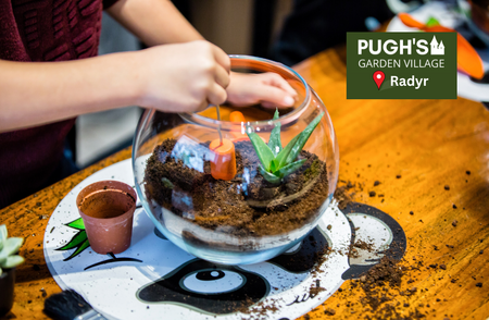 Little Green Fingers: Succulent Bowl Workshop