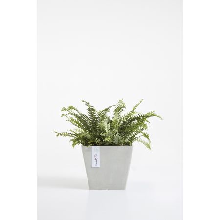 Pot Rotterdam