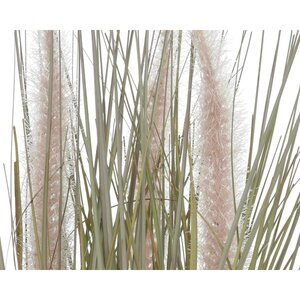 Small Decorative Grass In Pot - image 2