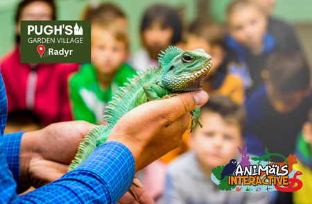 Summer Holidays, Animal's Interactive Experiences! (Radyr)
