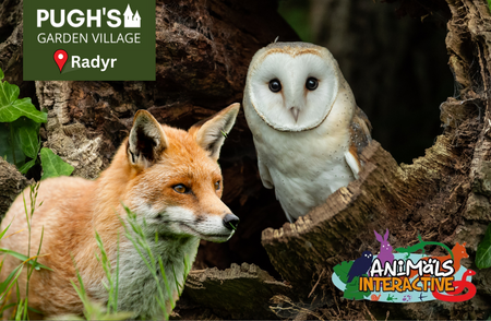 Winter Woodland Wildlife Experience (Radyr)